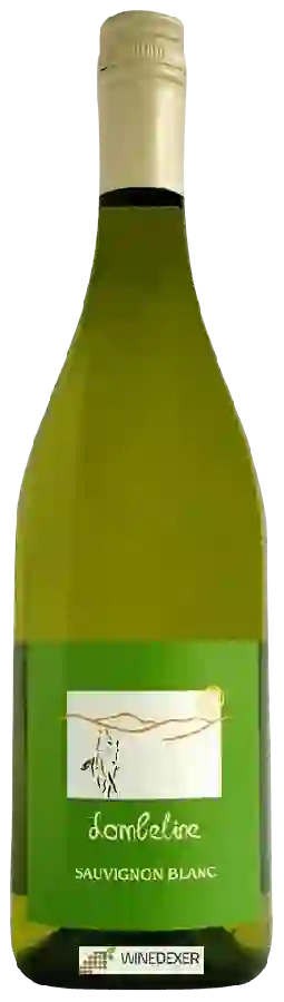 Winery Emile Balland - Sauvignon Blanc Winery Emile Balland - Sauvignon Blanc