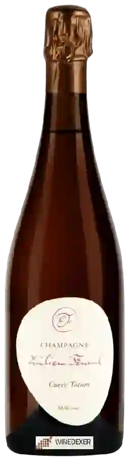 Winery Emilien Feneuil - Cuvèe Totum Champagne