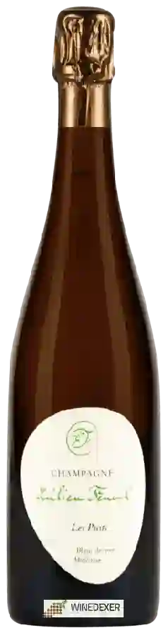 Winery Emilien Feneuil - Les Puits Blanc de Noir Champagne