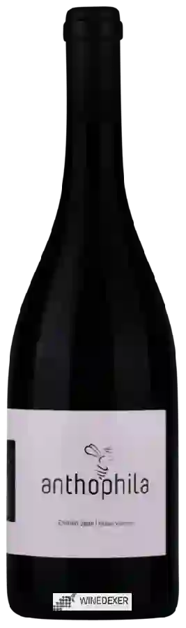 Winery Emilien Jean - Anthophila