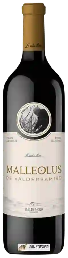 Winery Emilio Moro - Malleolus de Valderramiro