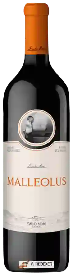 Winery Emilio Moro - Malleolus Winery Emilio Moro - Malleolus