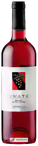 Winery Enate - Cabernet Sauvignon Rosado