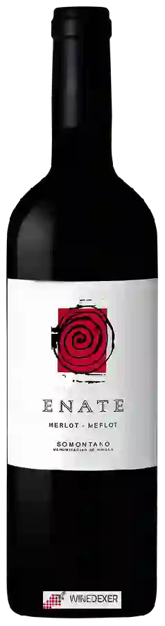 Winery Enate - Merlot
