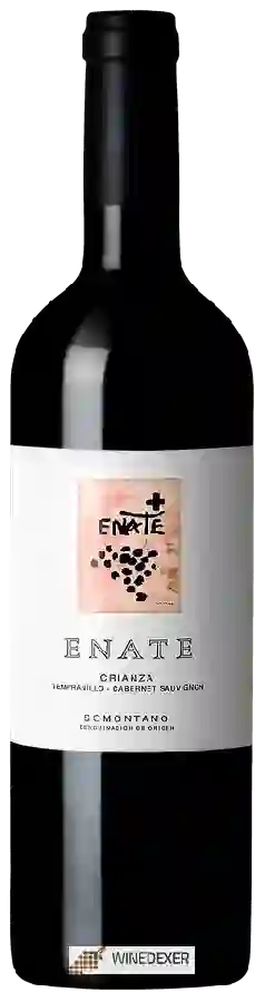 Winery Enate - Tempranillo - Cabernet Sauvignon Crianza