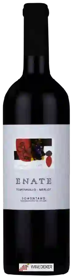 Winery Enate - Tempranillo - Merlot Winery Enate - Tempranillo - Merlot