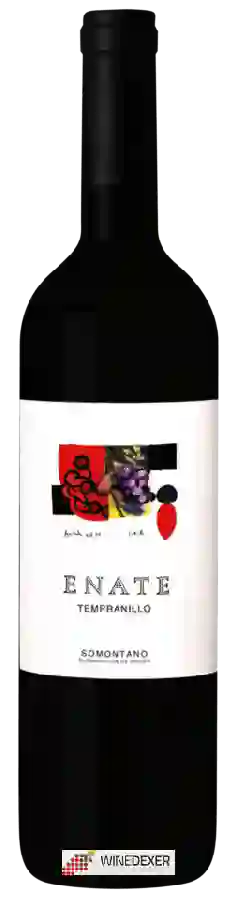 Winery Enate - Tempranillo Winery Enate - Tempranillo