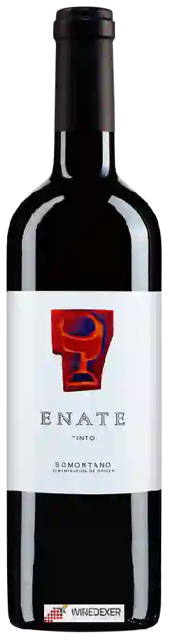 Winery Enate - Tinto