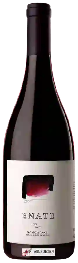 Winery Enate - Uno Tinto