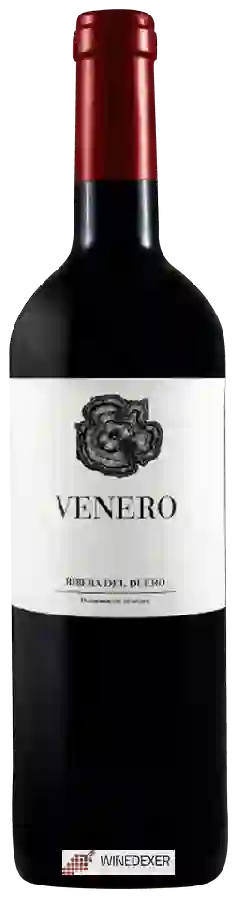Winery Encina - Venero