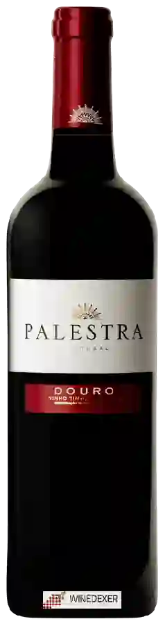 Winery Encostas do Douro - Palestra Winery Encostas do Douro - Palestra