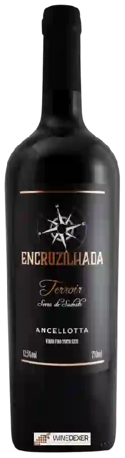 Winery Encruzilhada - Terroir Ancellotta