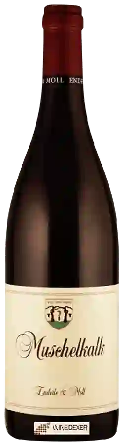 Winery Enderle & Moll - Muschelkalk Winery Enderle & Moll - Muschelkalk