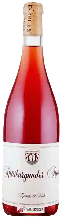Winery Enderle & Moll - Spätburgunder Rosé