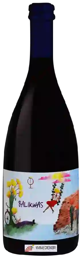 Winery Enotria Tellus - Balikwas