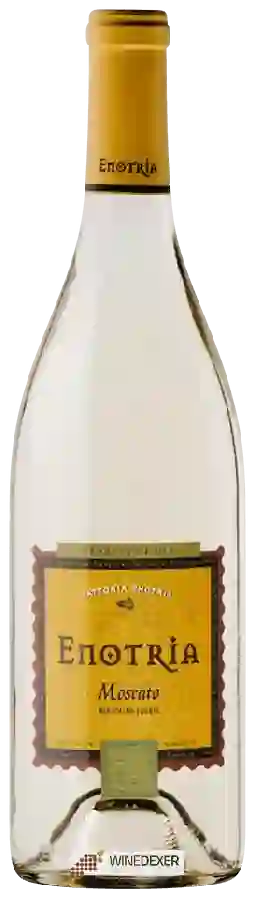 Winery Enotria - Moscato