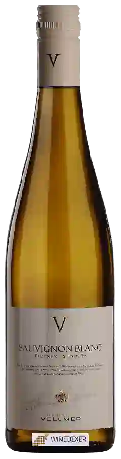 Winery Enrique Vollmer - Sauvignon Blanc Trocken Winery Enrique Vollmer - Sauvignon Blanc Trocken