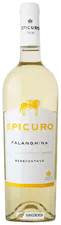 Winery Epicuro - Falanghina Beneventano Winery Epicuro - Falanghina Beneventano