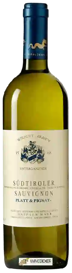 Winery Erbhof Unterganzner - Platt & Pignat Sauvignon Winery Erbhof Unterganzner - Platt & Pignat Sauvignon