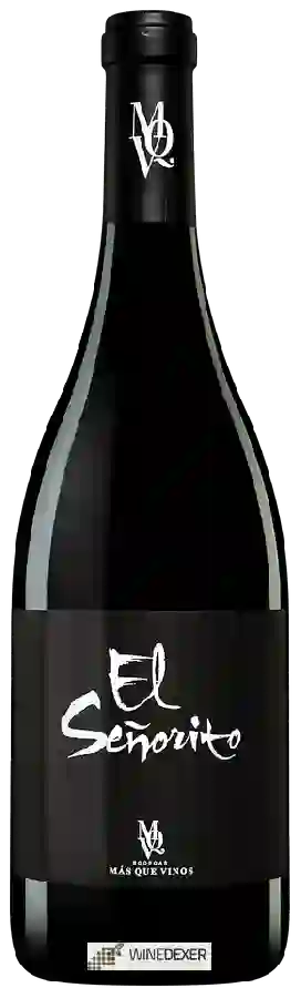 Winery Más Que Vinos - El Señorito de Ercavio