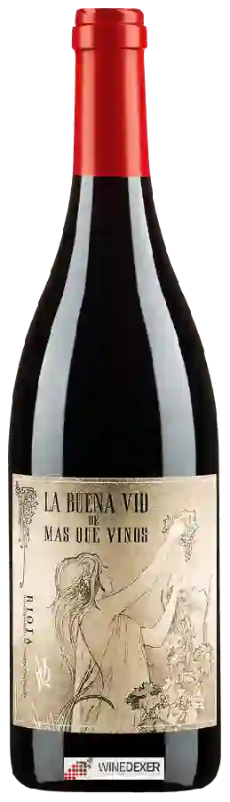 Winery Más Que Vinos - La Buena Vid