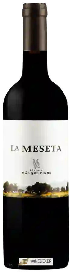Winery Más Que Vinos - La Meseta