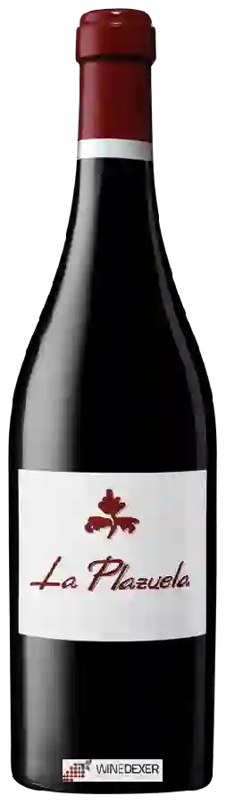 Winery Más Que Vinos - La Plazuela