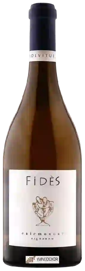 Winery Eric Morgat Vigneron - Fidès Winery Eric Morgat Vigneron - Fidès