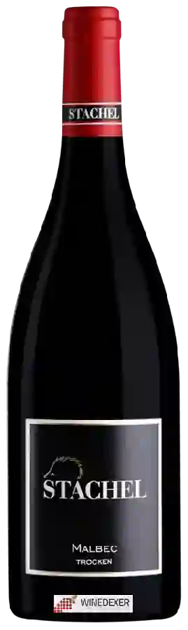 Winery Erich Stachel - Malbec Trocken