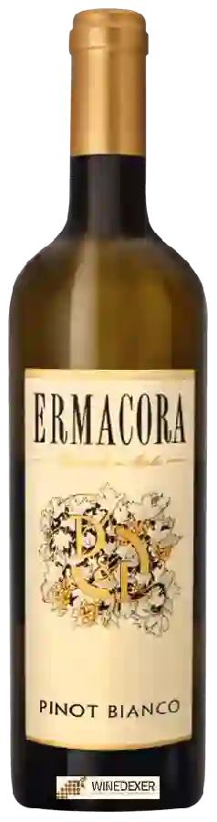 Winery Ermacora - Pinot Bianco