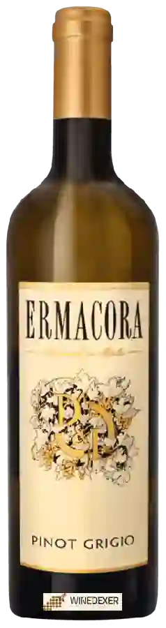 Winery Ermacora - Pinot Grigio