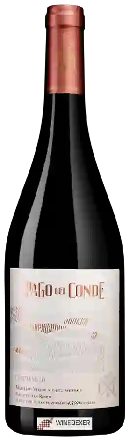 Winery Ermita del Conde - Pago del Conde Winery Ermita del Conde - Pago del Conde