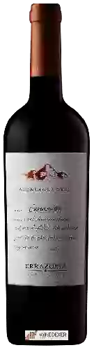 Winery Errazuriz - Aconcagua Alto Carmen&egravere