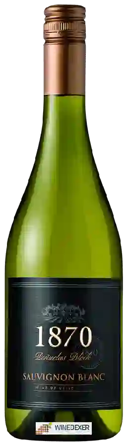 Winery Errazuriz - 1870 Peñuelas Block Sauvignon Blanc