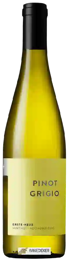 Winery Erste+Neue - Pinot Grigio