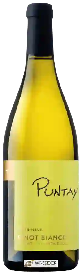 Winery Erste+Neue - Puntay Pinot Bianco