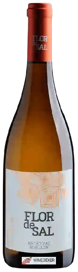 Winery Ervideira - Flor de Sal IV Bronze Antão Vaz - Semillon