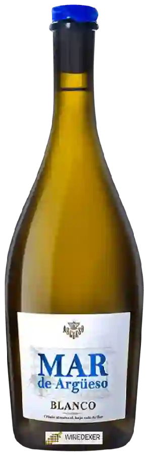 Bodegas Argüeso - Mar de Argüeso Blanco