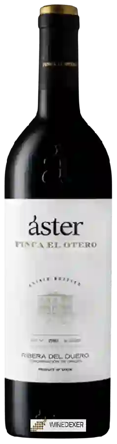 Winery Áster - Finca El Otero