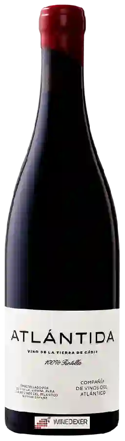 Winery Atlántida - Tintilla Winery Atlántida - Tintilla
