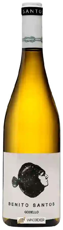 Winery Benito Santos - Godello Winery Benito Santos - Godello