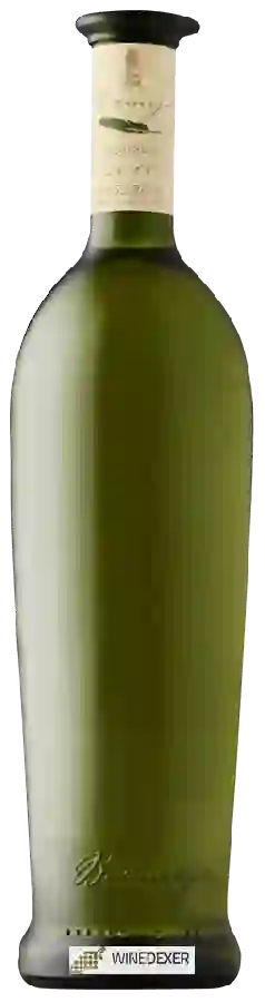 Winery Bermejo - Diego Seco