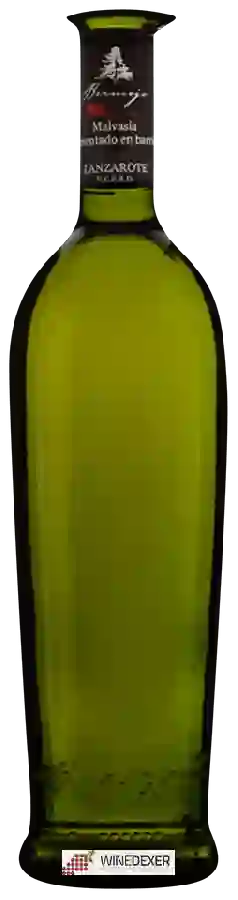 Winery Bermejo - Malvasía Seco Fermentado en Barricas