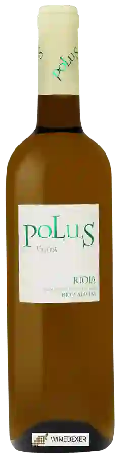Bodegas Loli Casado - Polus Viura