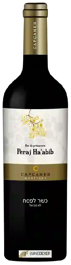 Winery Capçanes - Flor de Primavera Peraj Ha'abib