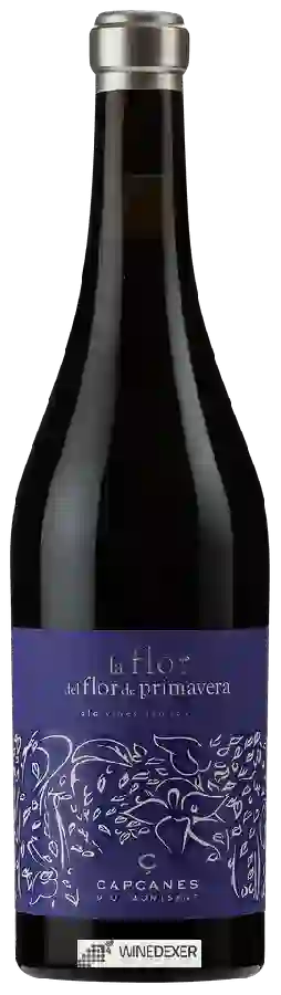 Winery Capçanes - La Flor Del Flor De Primavera Old Vines Samsó Montsant
