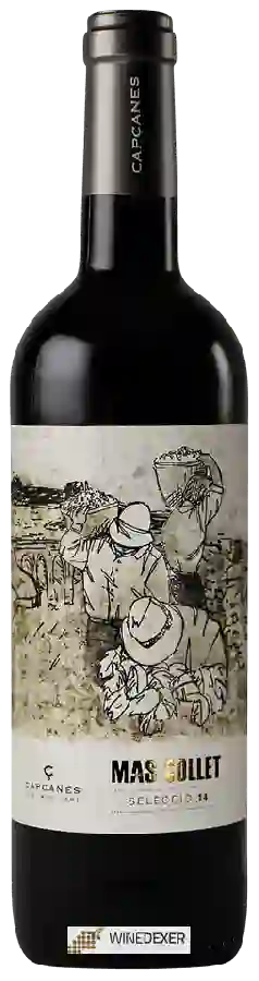 Winery Capçanes - Mas Collet Selecció Winery Capçanes - Mas Collet Selecció
