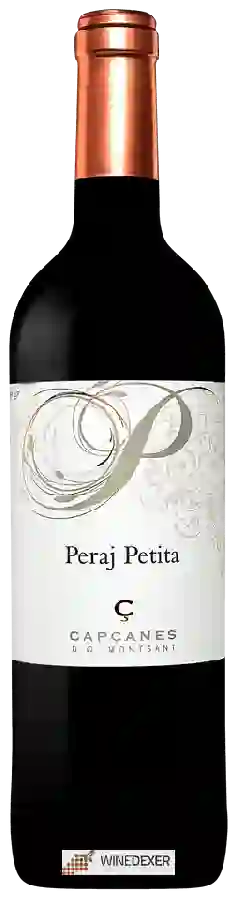 Winery Capçanes - Peraj Petita Montsant Winery Capçanes - Peraj Petita Montsant