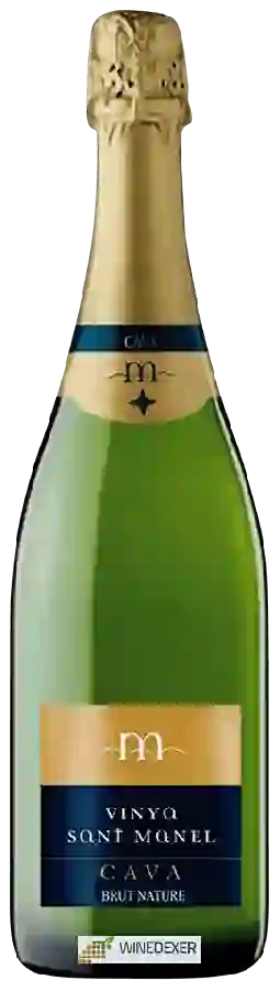 Winery Cavas Hill - Cava Vinya Sant Manel Brut Nature