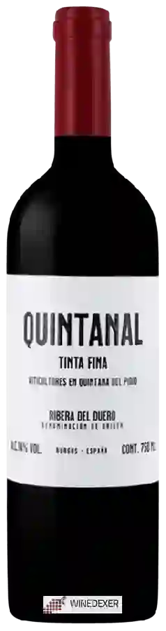 Winery Cillar de Silos - Dominio del Pidio El Quintanal Tinta Fina